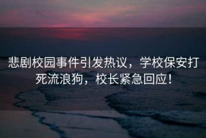 悲劇校園事件引發熱議，學校保安打死流浪狗，校長緊急回應！