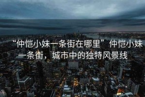 “仲愷小妹一條街在哪里”仲愷小妹一條街，城市中的獨特風景線