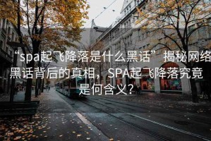 “spa起飛降落是什么黑話”揭秘網絡黑話背后的真相，SPA起飛降落究竟是何含義？