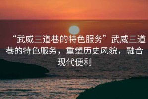 “武威三道巷的特色服務”武威三道巷的特色服務，重塑歷史風貌，融合現代便利