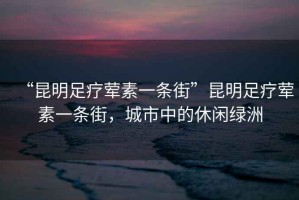 “昆明足療葷素一條街”昆明足療葷素一條街，城市中的休閑綠洲