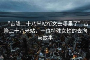 “吉隆二十八米站銜女去哪里了”吉隆二十八米站，一位特殊女性的去向與故事
