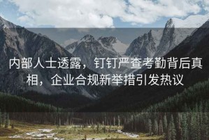 內(nèi)部人士透露，釘釘嚴(yán)查考勤背后真相，企業(yè)合規(guī)新舉措引發(fā)熱議