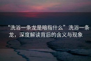 “洗浴一條龍是暗指什么”洗浴一條龍，深度解讀背后的含義與現(xiàn)象