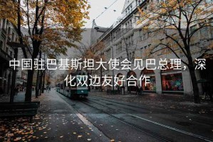 中國駐巴基斯坦大使會見巴總理，深化雙邊友好合作