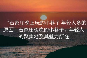 “石家莊晚上玩的小巷子 年輕人多的原因”石家莊夜晚的小巷子，年輕人的聚集地及其魅力所在