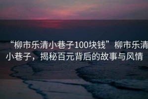 “柳市樂清小巷子100塊錢”柳市樂清小巷子，揭秘百元背后的故事與風情