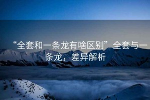 “全套和一條龍有啥區別”全套與一條龍，差異解析