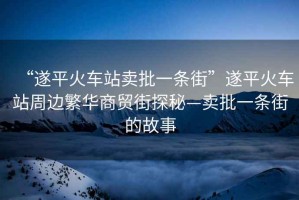 “遂平火車站賣批一條街”遂平火車站周邊繁華商貿街探秘—賣批一條街的故事