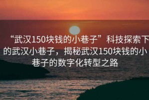“武漢150塊錢的小巷子”科技探索下的武漢小巷子，揭秘武漢150塊錢的小巷子的數(shù)字化轉(zhuǎn)型之路