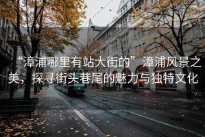 “漳浦哪里有站大街的”漳浦風景之美，探尋街頭巷尾的魅力與獨特文化