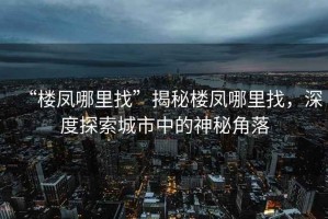 “樓鳳哪里找”揭秘樓鳳哪里找，深度探索城市中的神秘角落