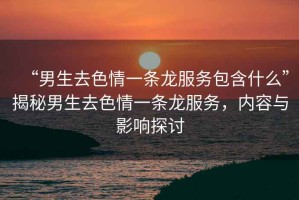 “男生去色情一條龍服務包含什么”揭秘男生去色情一條龍服務，內容與影響探討
