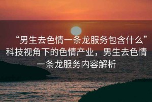 “男生去色情一條龍服務包含什么”科技視角下的色情產業，男生去色情一條龍服務內容解析