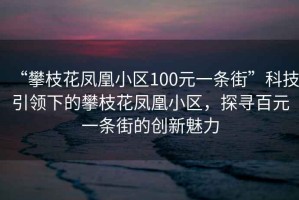 “攀枝花鳳凰小區(qū)100元一條街”科技引領(lǐng)下的攀枝花鳳凰小區(qū)，探尋百元一條街的創(chuàng)新魅力