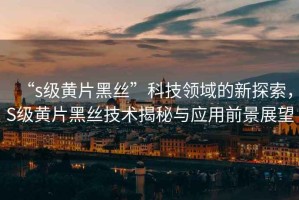 “s級黃片黑絲”科技領域的新探索，S級黃片黑絲技術揭秘與應用前景展望