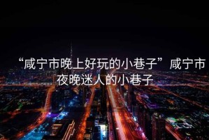 “咸寧市晚上好玩的小巷子”咸寧市夜晚迷人的小巷子