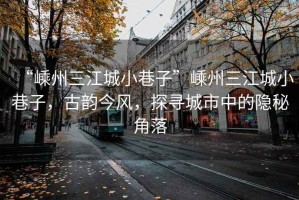 “嵊州三江城小巷子”嵊州三江城小巷子，古韻今風，探尋城市中的隱秘角落