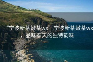“寧波新茶嫩茶wx”寧波新茶嫩茶wx，品味春天的獨特韻味