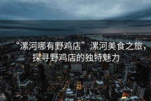 “漯河哪有野雞店”漯河美食之旅，探尋野雞店的獨特魅力