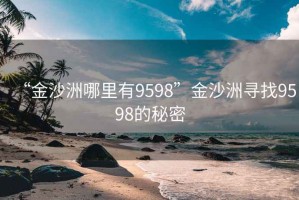 “金沙洲哪里有9598”金沙洲尋找9598的秘密