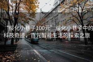 “綏化小巷子100元”綏化小巷子中的科技奇跡，百元智能生活的探索之旅