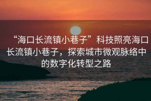 “海口長流鎮小巷子”科技照亮海口長流鎮小巷子，探索城市微觀脈絡中的數字化轉型之路