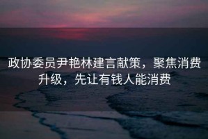 政協委員尹艷林建言獻策，聚焦消費升級，先讓有錢人能消費