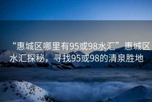 “惠城區哪里有95或98水匯”惠城區水匯探秘，尋找95或98的清泉勝地