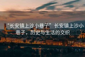 “長安鎮上沙小巷子”長安鎮上沙小巷子，歷史與生活的交織