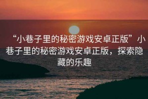 “小巷子里的秘密游戲安卓正版”小巷子里的秘密游戲安卓正版，探索隱藏的樂趣