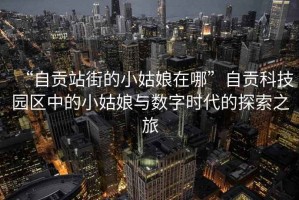 “自貢站街的小姑娘在哪”自貢科技園區中的小姑娘與數字時代的探索之旅