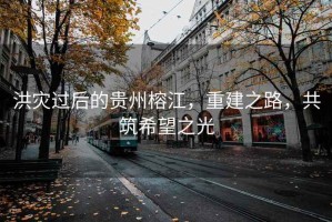 洪災(zāi)過后的貴州榕江，重建之路，共筑希望之光