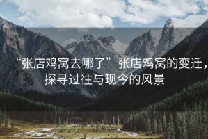 “張店雞窩去哪了”張店雞窩的變遷，探尋過往與現今的風景
