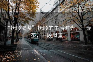 “撫順喝茶”撫順的午后時光，一壺茶，一段風景