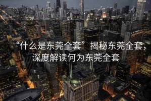 “什么是東莞全套”揭秘東莞全套，深度解讀何為東莞全套