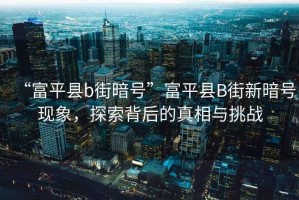 “富平縣b街暗號”富平縣B街新暗號現象，探索背后的真相與挑戰