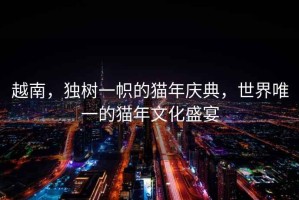 越南，獨樹一幟的貓年慶典，世界唯一的貓年文化盛宴