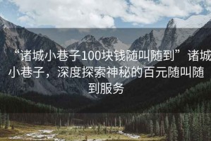 “諸城小巷子100塊錢隨叫隨到”諸城小巷子，深度探索神秘的百元隨叫隨到服務