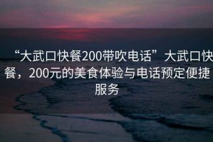 “大武口快餐200帶吹電話”大武口快餐，200元的美食體驗(yàn)與電話預(yù)定便捷服務(wù)