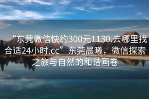 “東莞微信快約300元1130.去哪里找合適24小時.cc”東莞晨曦，微信探索之旅與自然的和諧畫卷