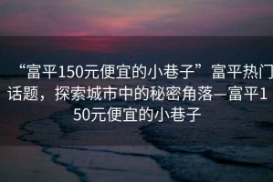 “富平150元便宜的小巷子”富平熱門話題，探索城市中的秘密角落—富平150元便宜的小巷子