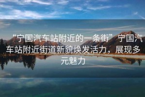“寧國汽車站附近的一條街”寧國汽車站附近街道新貌煥發(fā)活力，展現(xiàn)多元魅力