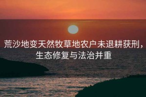 荒沙地變天然牧草地農戶未退耕獲刑，生態修復與法治并重