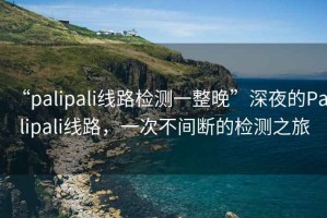 “palipali線路檢測一整晚”深夜的Palipali線路，一次不間斷的檢測之旅