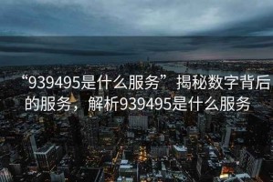 “939495是什么服務(wù)”揭秘數(shù)字背后的服務(wù)，解析939495是什么服務(wù)
