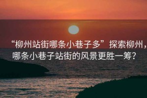 “柳州站街哪條小巷子多”探索柳州，哪條小巷子站街的風(fēng)景更勝一籌？