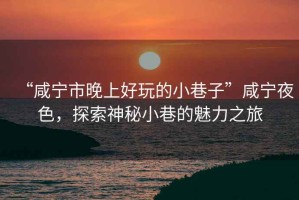 “咸寧市晚上好玩的小巷子”咸寧夜色，探索神秘小巷的魅力之旅
