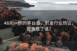 48元一杯的茅臺酒，引發(fā)行業(yè)熱議，究竟惹了誰？
