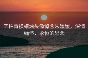 辛柏青換蠟燭頭像悼念朱媛媛，深情緬懷，永恒的思念